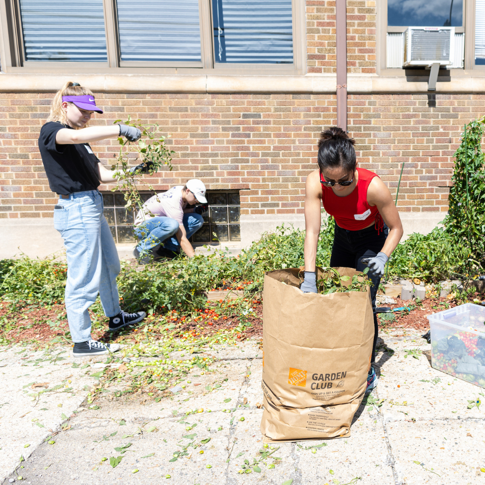 Loyola Chicago students clearing weeds outside of the Quinn Center