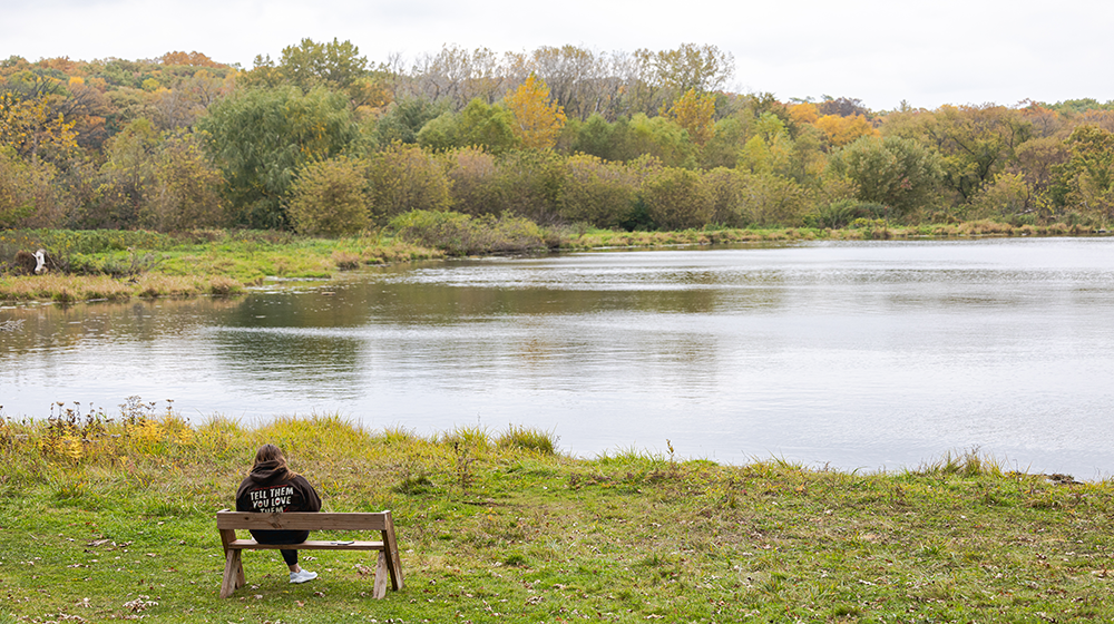 One person sitting on a bench in front of a lake