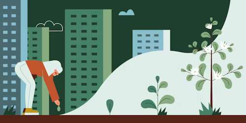 capstone courses planting urban seeds illustration capstone courses planting urban seeds illustration