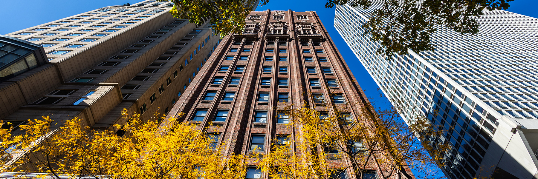 Upward view of downtown skyscrapers framing a historic brick tower, golden autumn trees below against clear blue sky overhead.