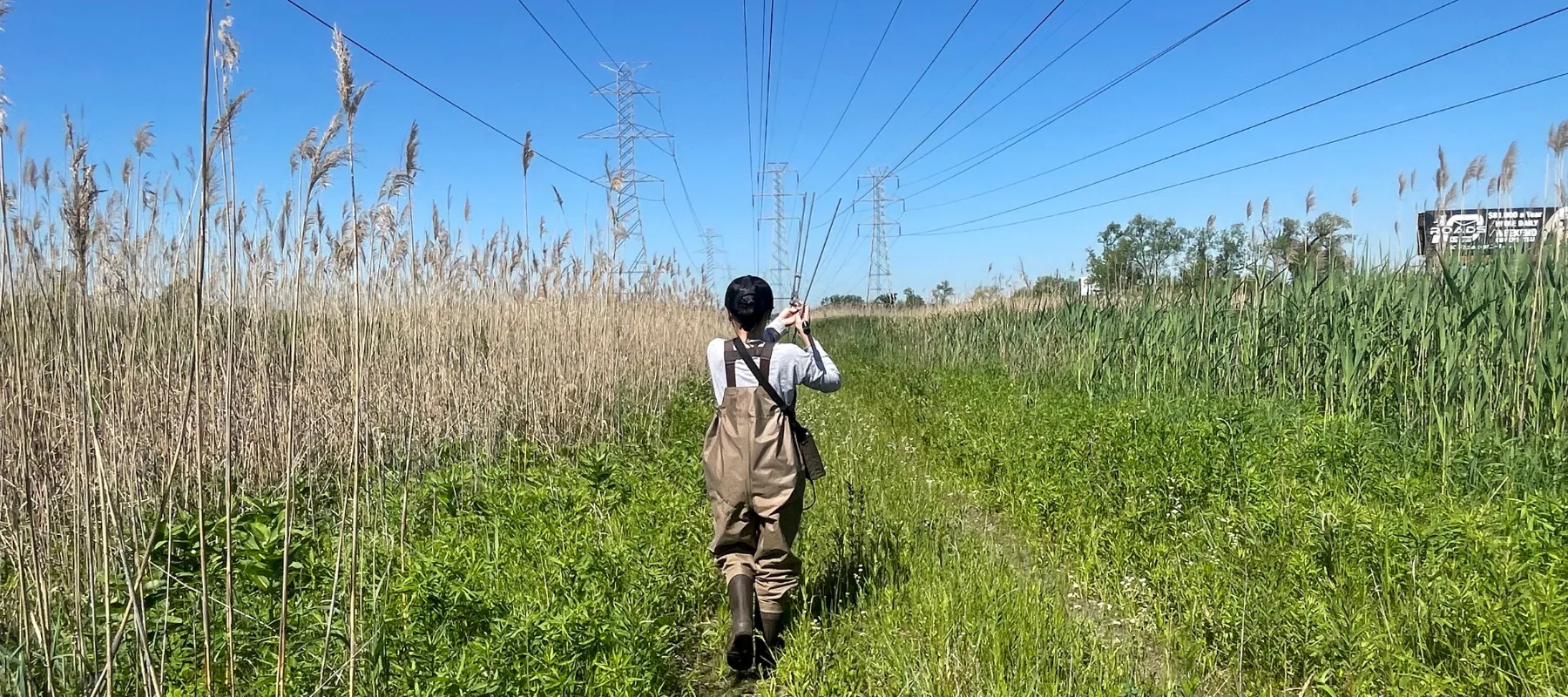 Undergraduate turtle tracking in an open field. 