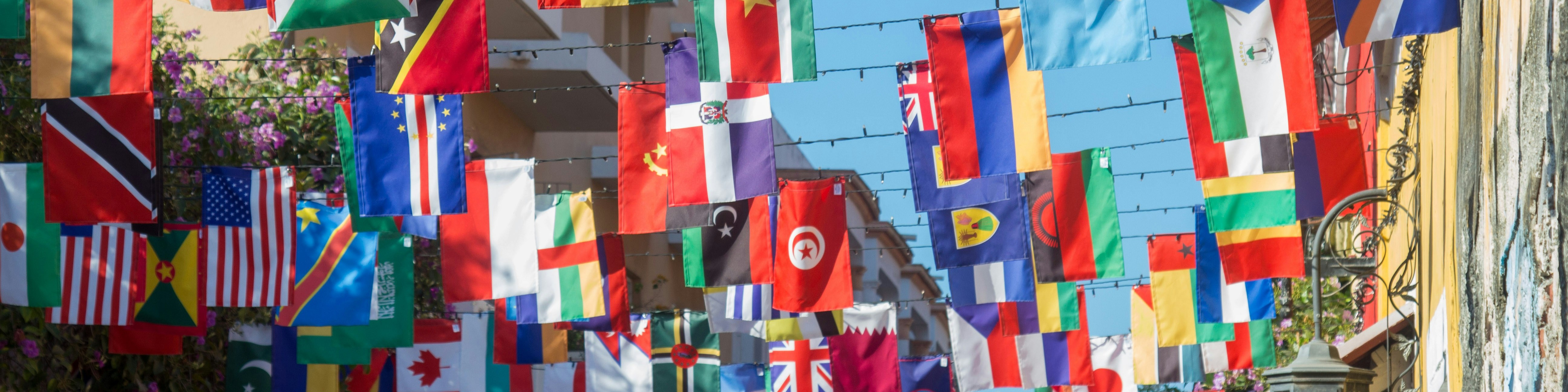 Photograph of multiple international flags hanging across a narrow street between buildings under a clear blue sky.