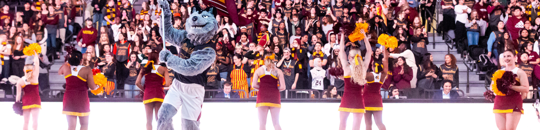 LU Wolf leads a crowd of enthusiastic Loyola fans in a cheer at a basketball game.
