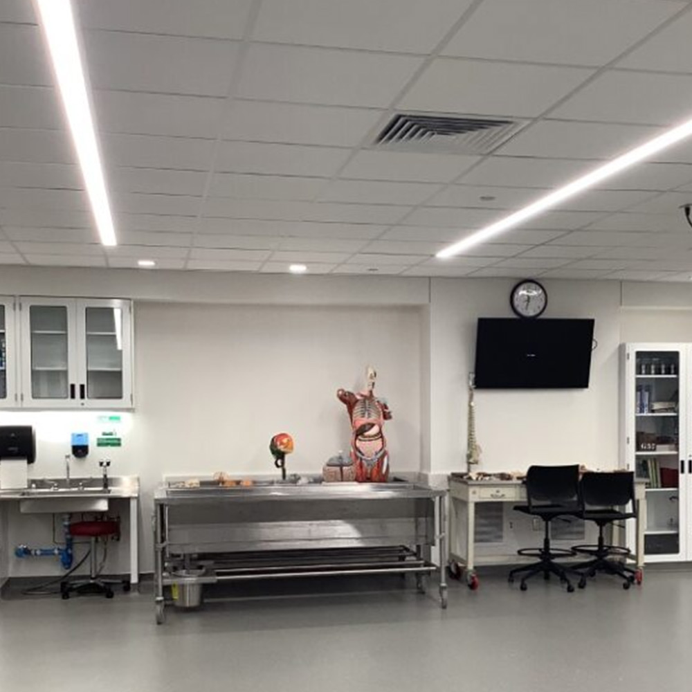 The anatomy lab at the Simulation Center at Health Sciences Campus The anatomy lab at the Simulation Center at Health Sciences Campus