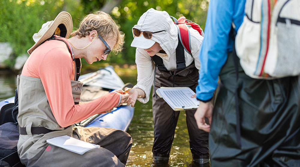 Loyola students and researchers conduct field research on native and invasive cattail plants in Lake Huron as part of a partnership with the Universit