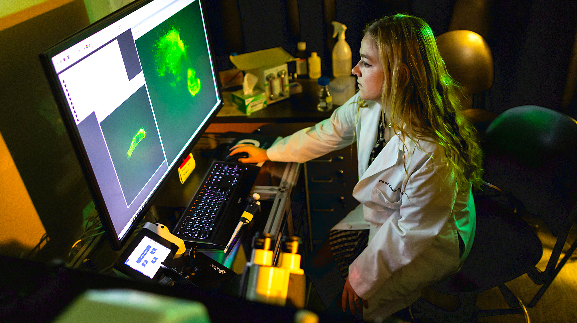 A young woman lab technician, with blond hair and dressed in a white lab coat, looks at a monitor as she sits at a work station.