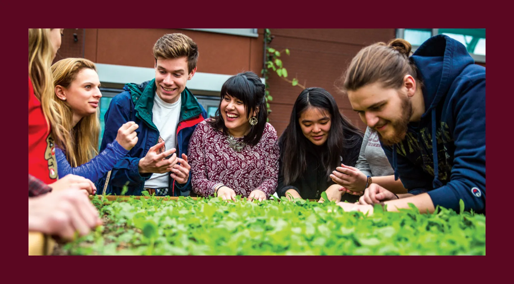 Students studying plant life. 