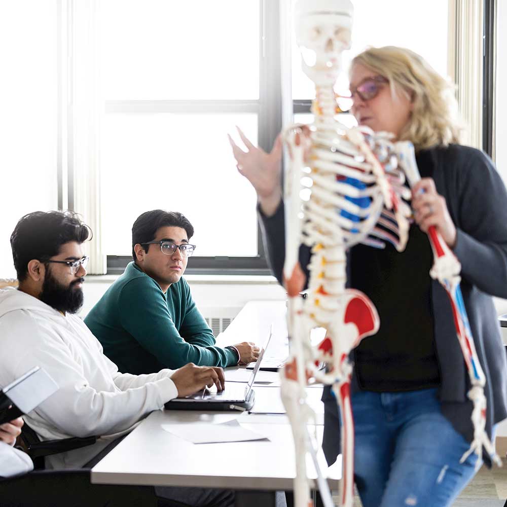 Loyola students study exercise science on a training human skeleton