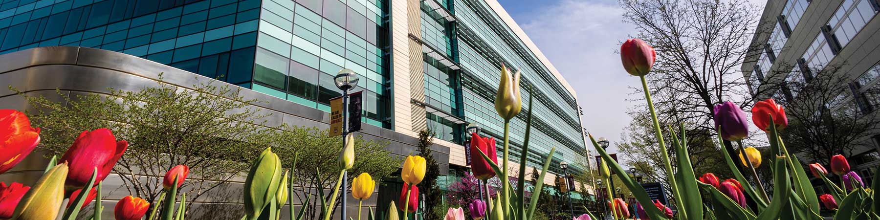 Blooming flowers at the Health Science Campus on a sunny day