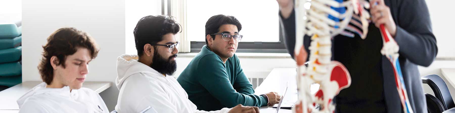 Loyola students study exercise science on a training human skeleton