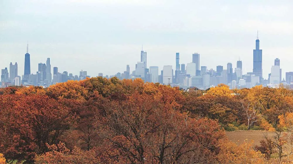 Chicago skyline