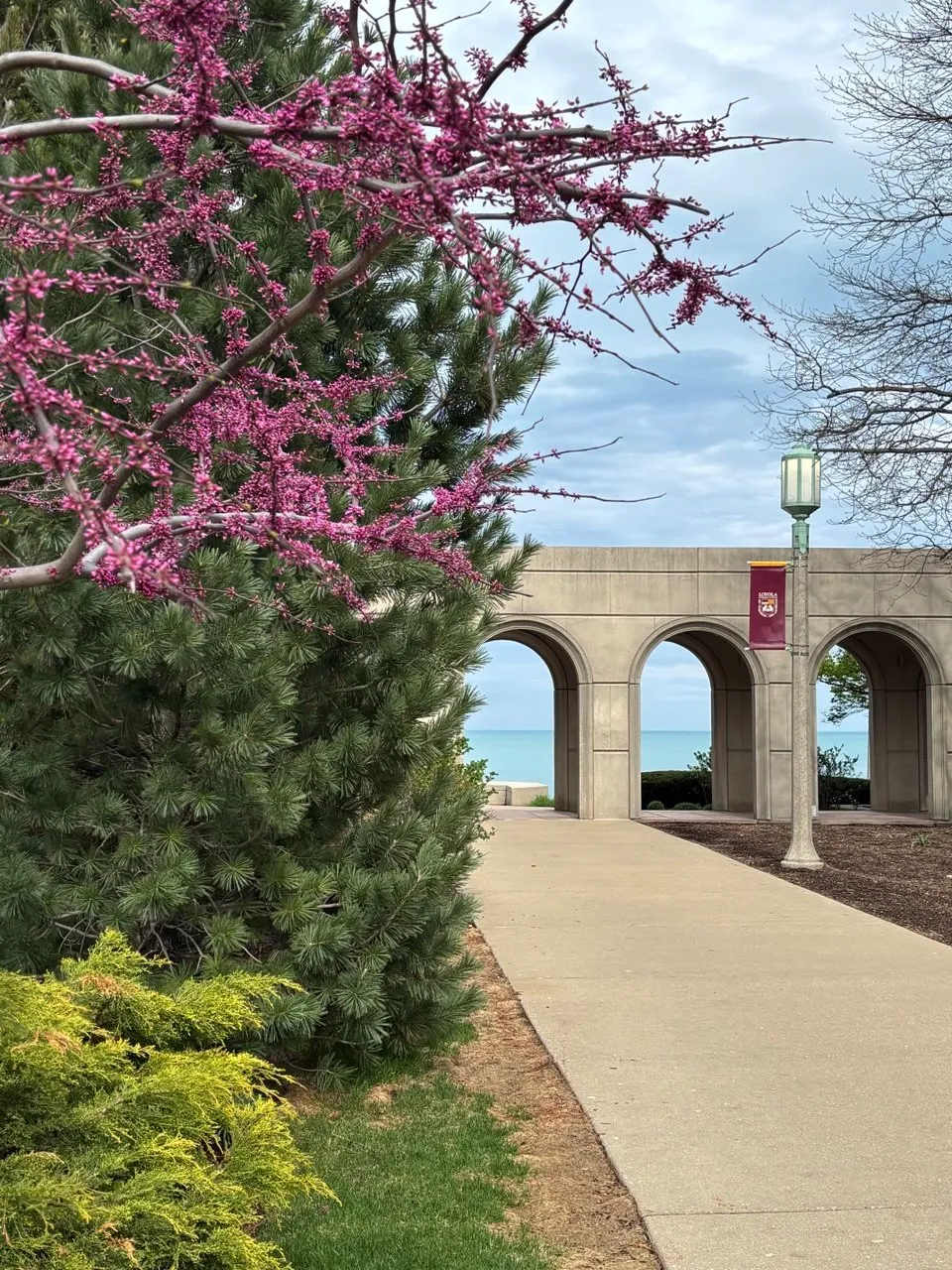 View of Lake shore campus, with greenery and a sidewalk facing lake Michigan.