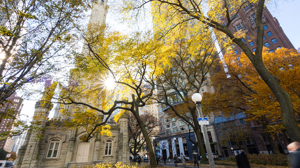 A view of Chicago's Water Tower with the sun shining through Fall leaves A view of Chicago's Water Tower with the sun shining through Fall leaves