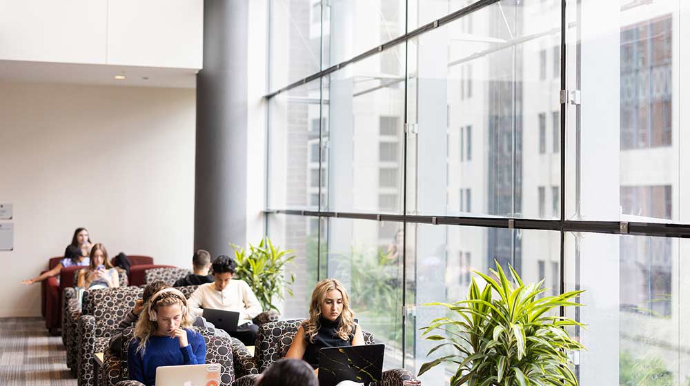  “We hope that Career Week will be aspirational for Quinlan students as they hear about the great things our alums have done and prepare for their own careers.”