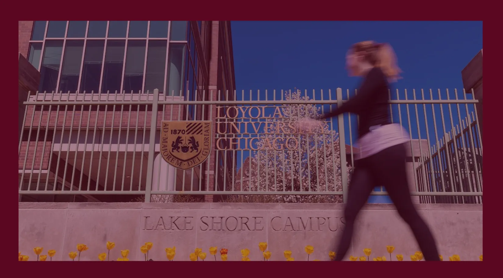 Loyola University Chicago student walking along the main entrance on a sunny day 