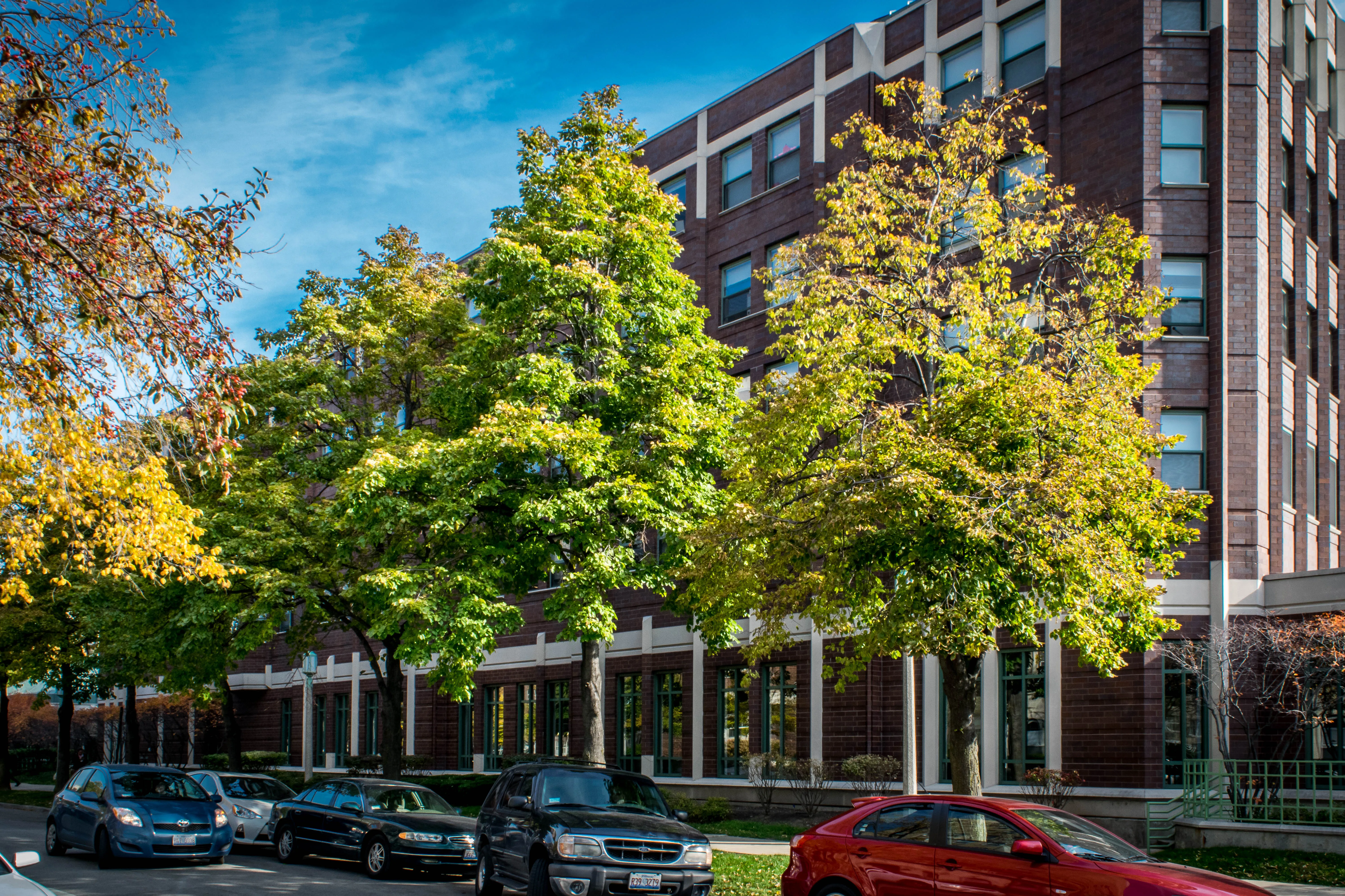 Exterior view of a Loyola University Chicago residence hall along a tree-lined campus street