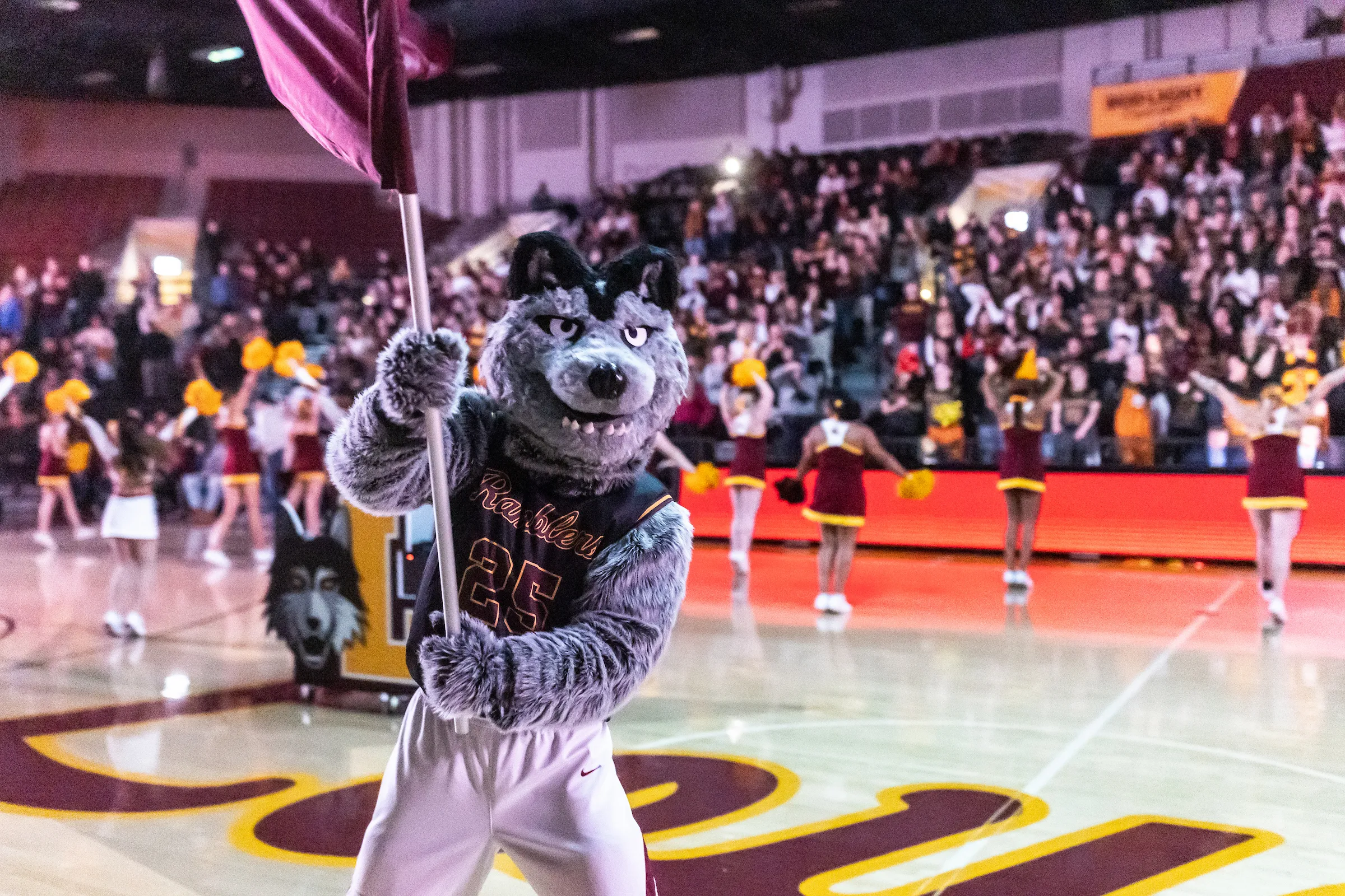 LU Wolf holding flag 