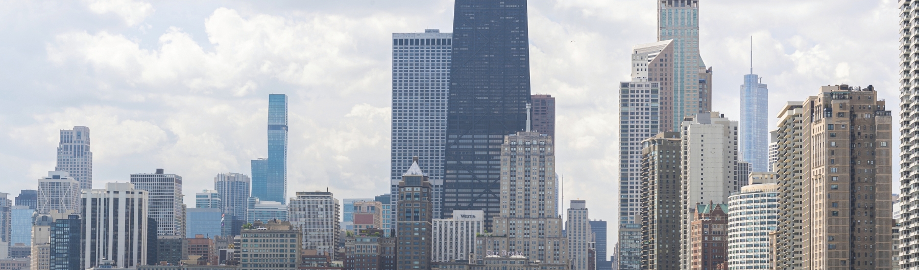 Chicago Summer Skyline
