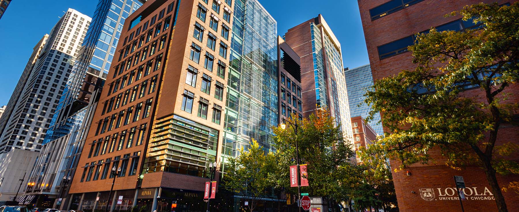 «Искусственный интеллект и генеративный ИИ могут быть самой важной технологией за всю жизнь».