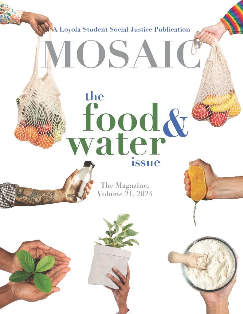 Cover of Mosaic's 2024 magazine cover