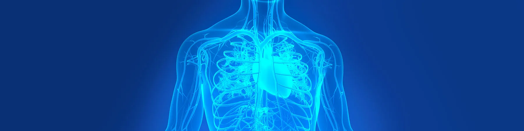 Placeholder Hero Image