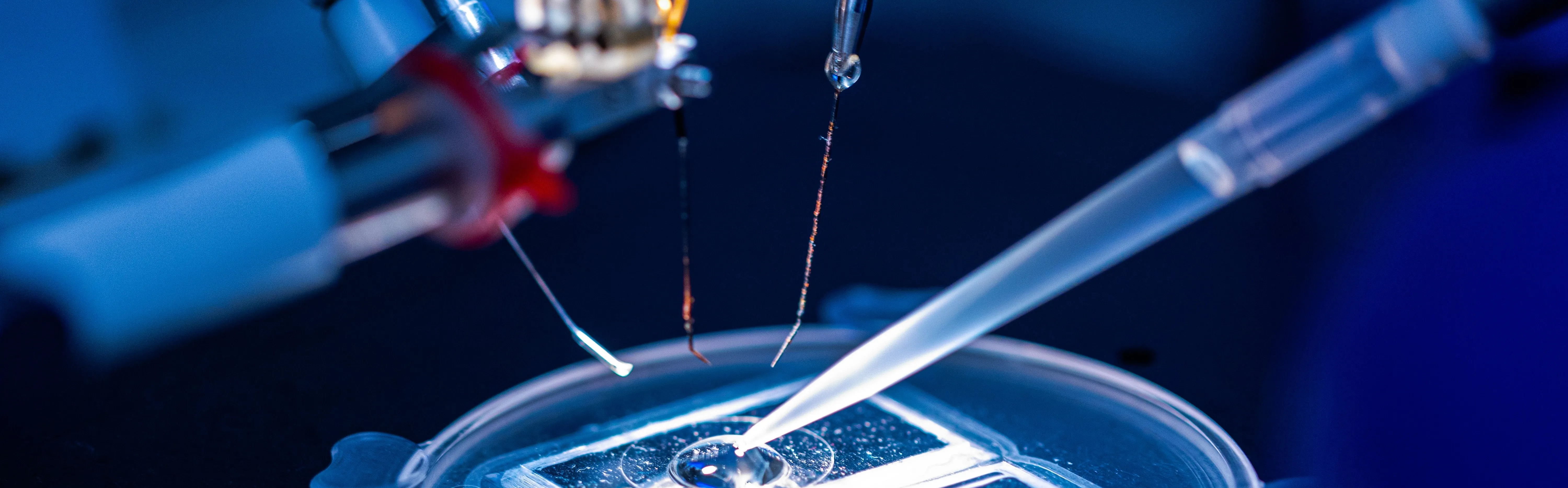 Fisiología Celular y Molecular