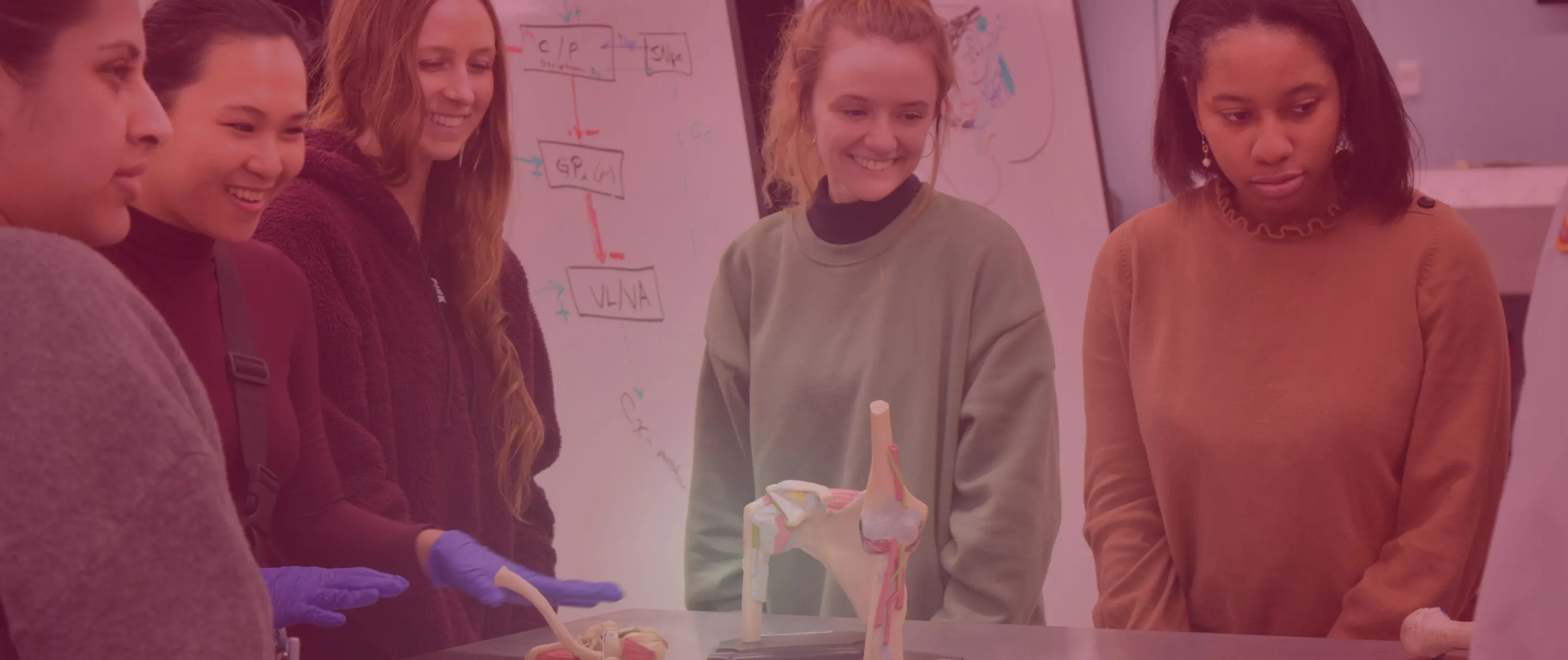 Lab 1 Medical Physiology