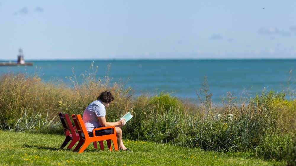 A student sits in a chair and reads at the lakefront on Lake Shore Campus A student sits in a chair and reads at the lakefront on Lake Shore Campus
