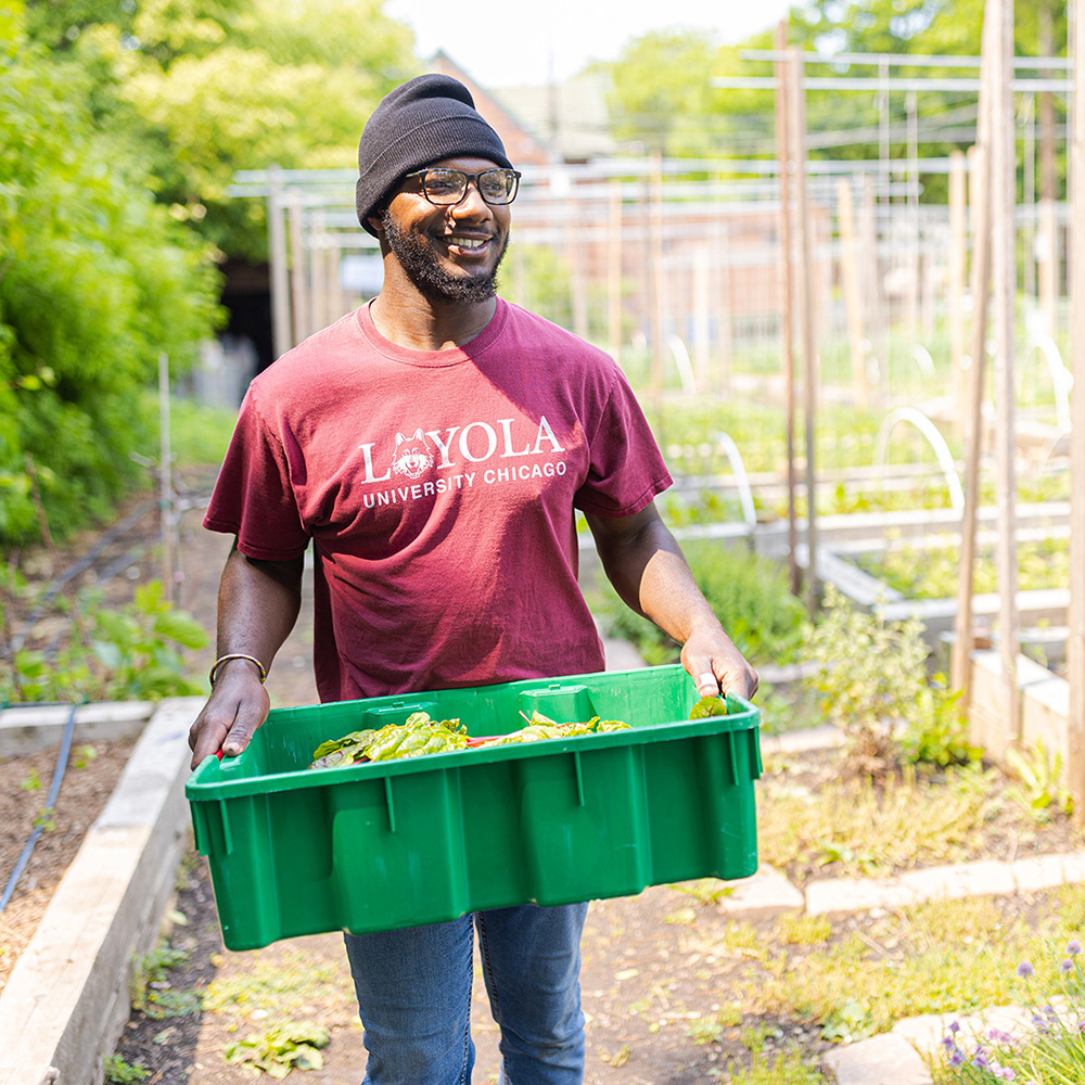 student carrying a bin of vegetables student carrying a bin of vegetables