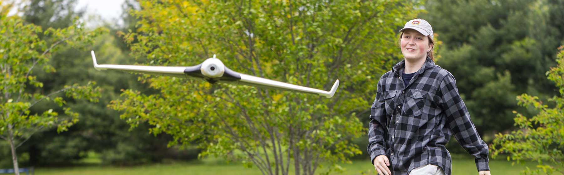 tomatoes at the farmers market
