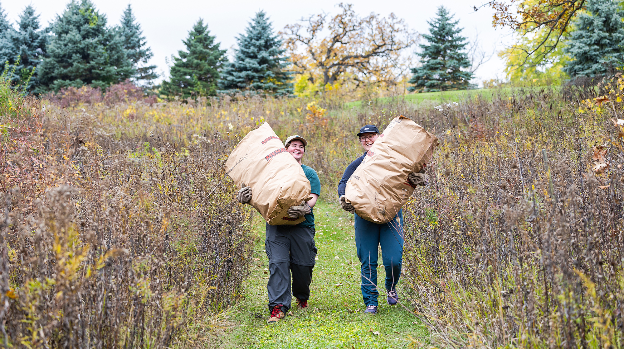 Students carry bags of leaves at LUREC