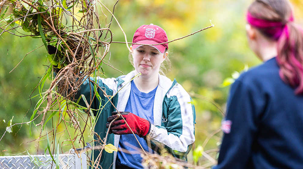 Alt tag here for image 2