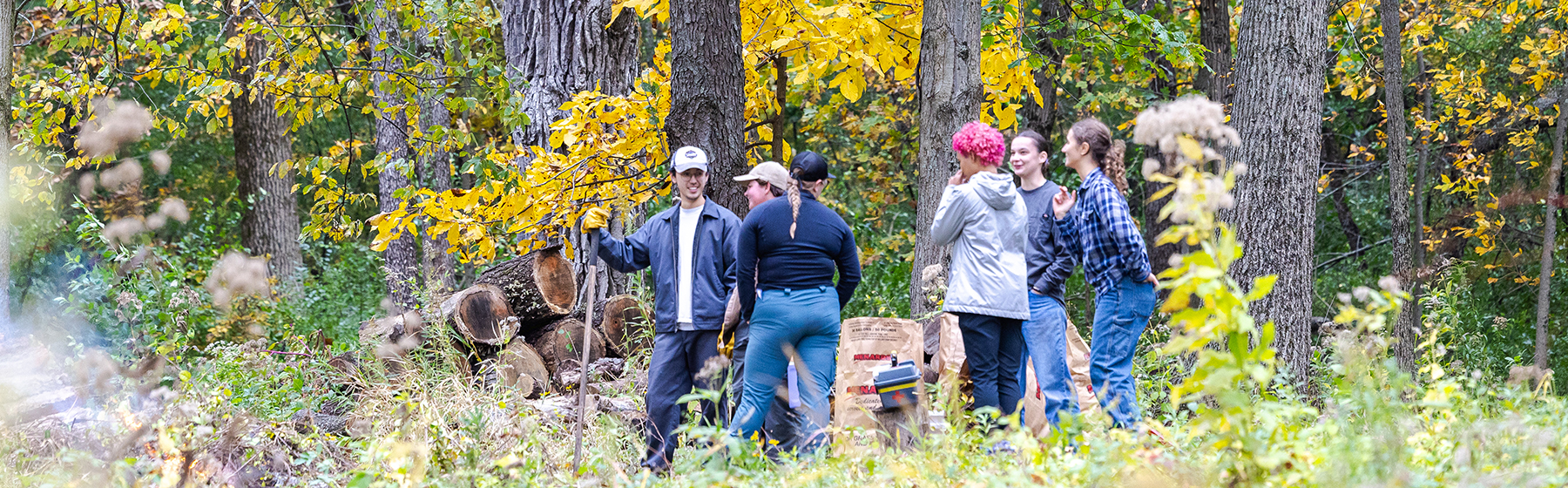 students at LUREC working to remove invasive plants