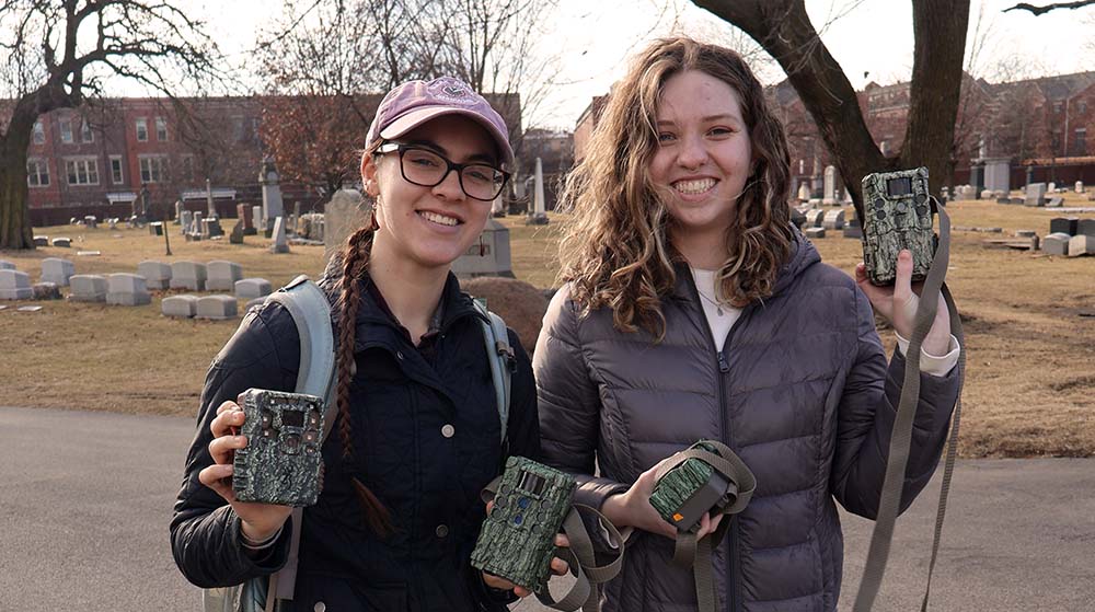 students install camera traps at Graceland Cemetery