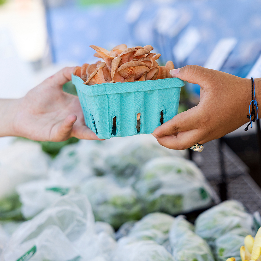 hands passing a box of mushrooms