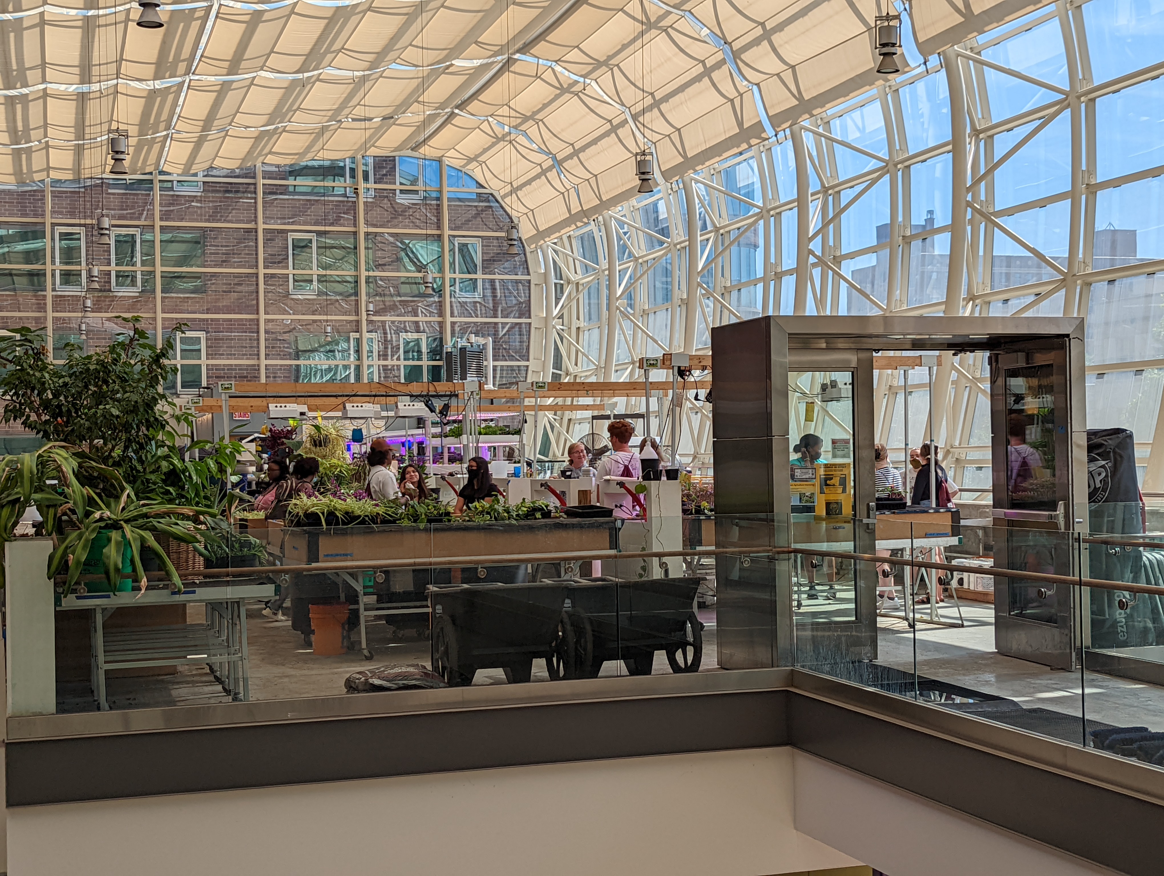 students in greenhouse
