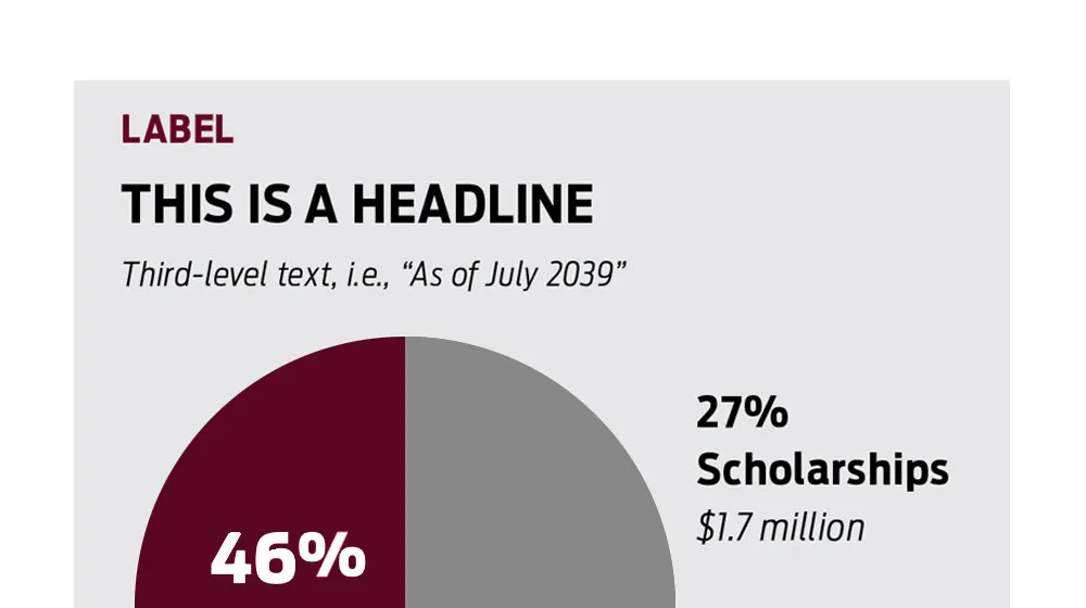 Example of a pie chart using placeholder copy and Loyola University Chicago brand colors Example of a pie chart using placeholder copy and Loyola University Chicago brand colors