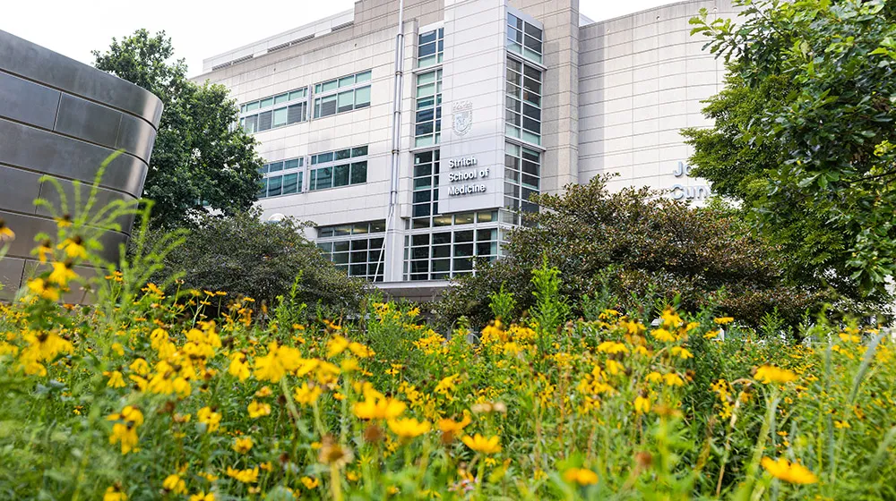 External image of Stritch School of Medicine building with yellow wildflowers and greenery in the foreground.