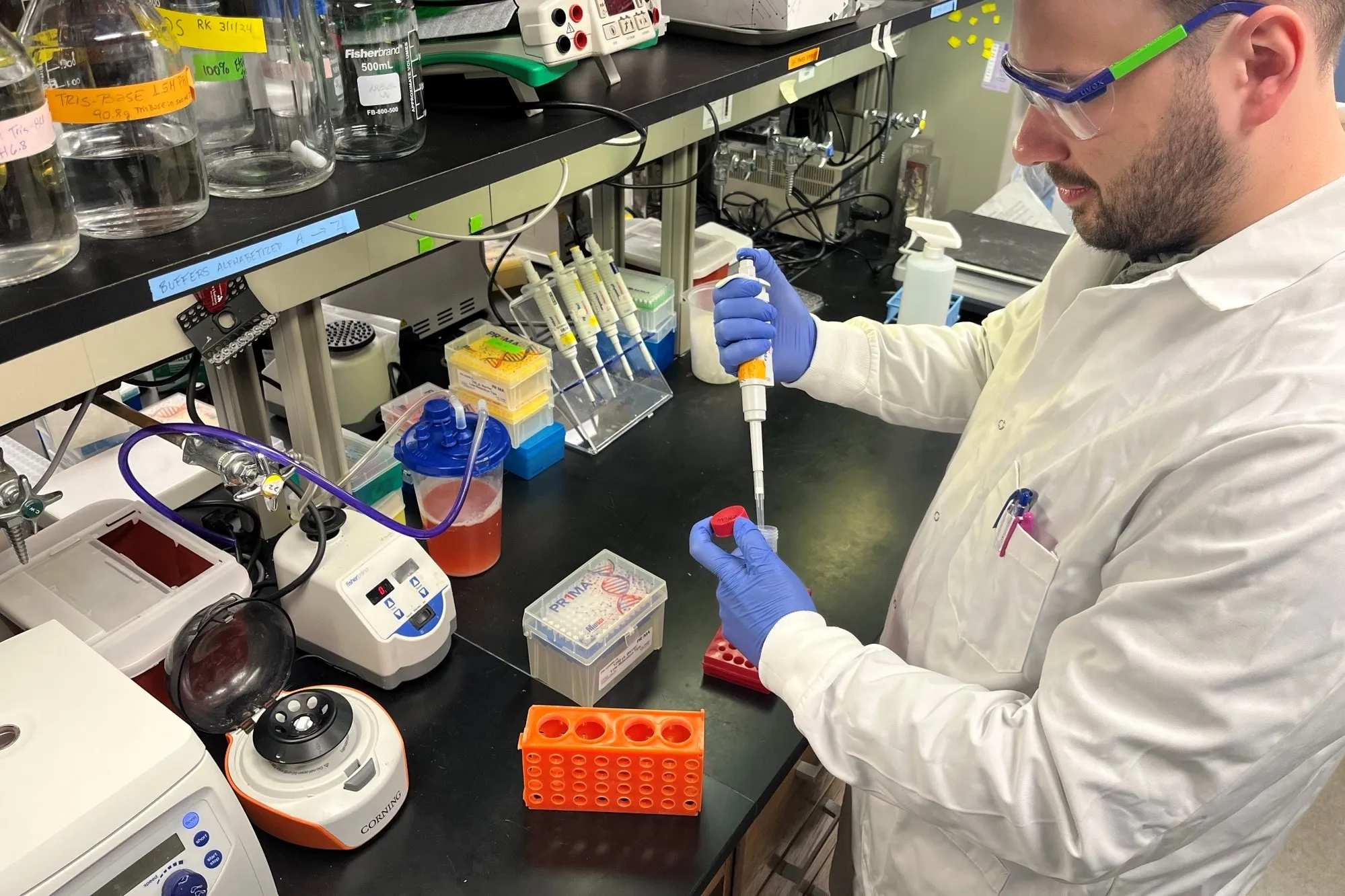 Researcher working in Lab on Castration Resistant Prostate Cancer Researcher working in Lab on Castration Resistant Prostate Cancer