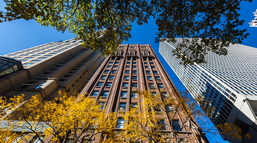 Photo of Lewis Towers Photo of Lewis Towers