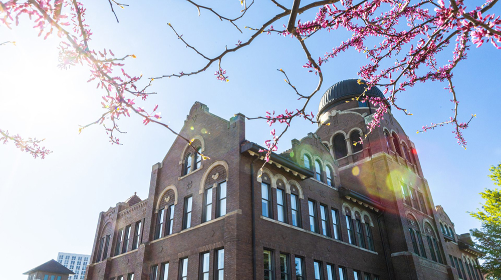 A tree blooms in spring on the Lake Shore Campus