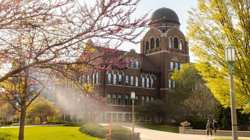 Loyola University Chicago campus building framed by flowering trees in spring with sunlight on the façade