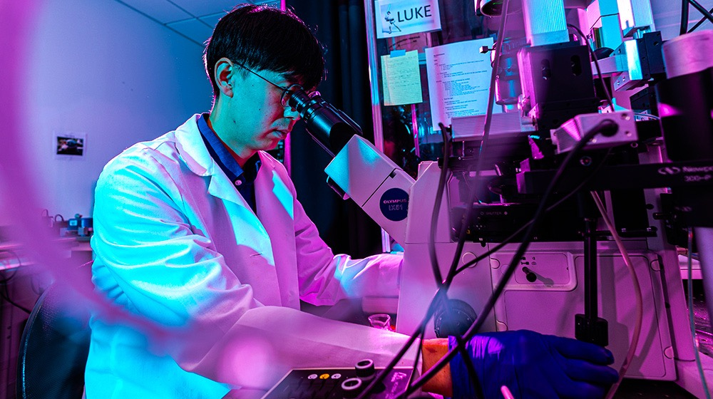 Photo of a researcher looking at samples under a microscope