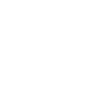 Stylized icon indicating the university wide commitment to supporting education for all students