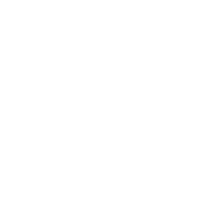 Stylized icon indicating the world wide reach of the Loyola University Chicago strategy