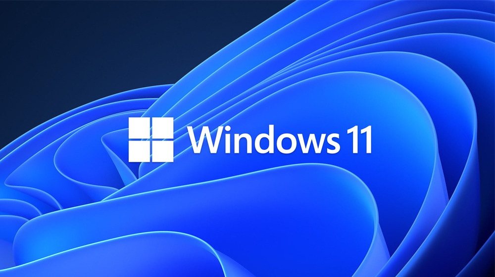 Microsoft Windows 11 icon and text in front of a blue abstract graphic similar to paper or flower pedals, a common Windows 11 default graphic.