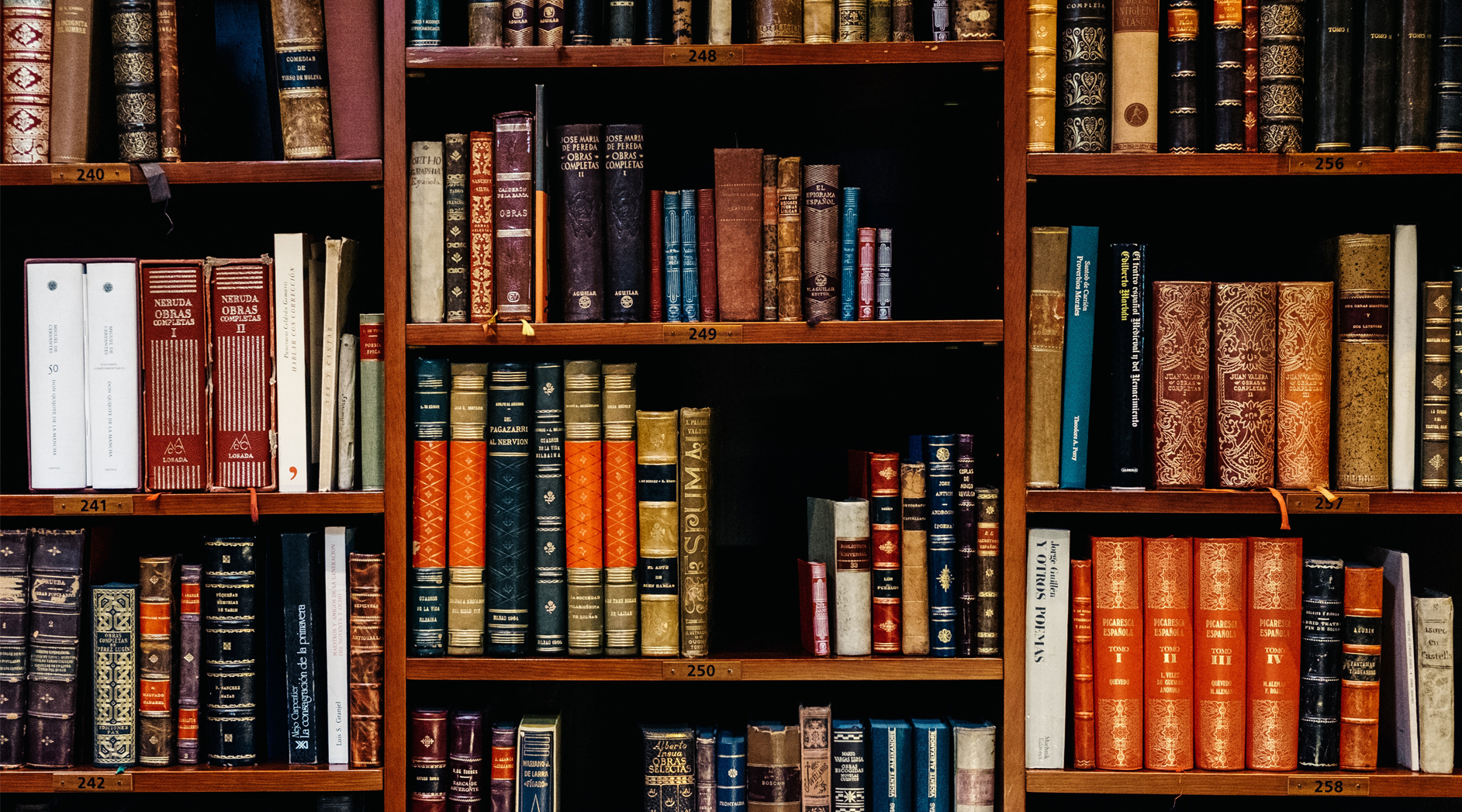 A bookshelf filled with books