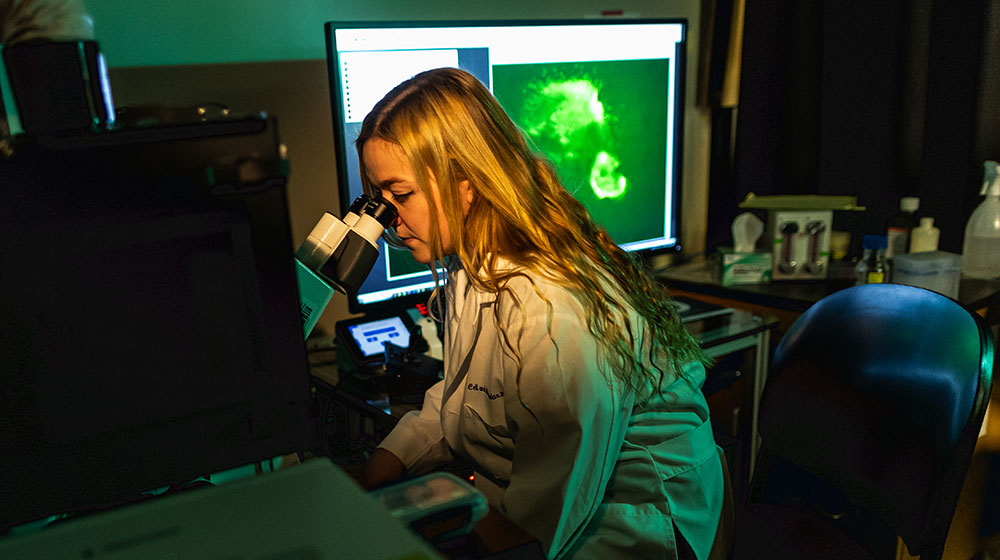 Super Resolution Microscope