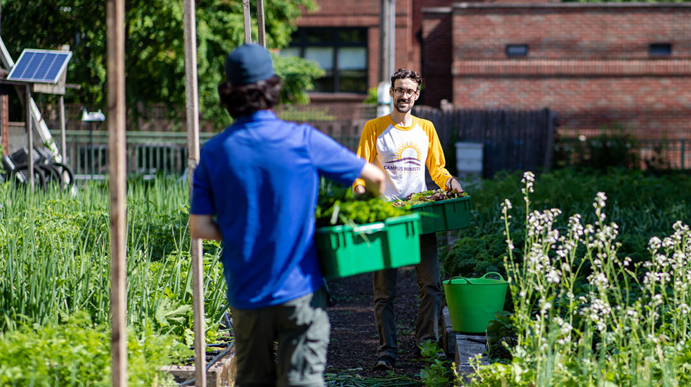 Two people carrying crates of produce in a community garden with plants and buildings in the background.
