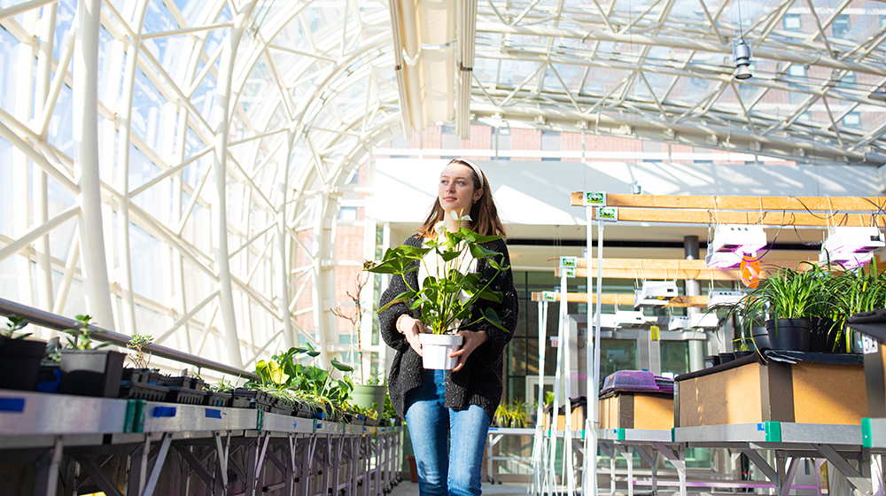 Person carrying a potted plant in a bright greenhouse lined with plants and work tables.